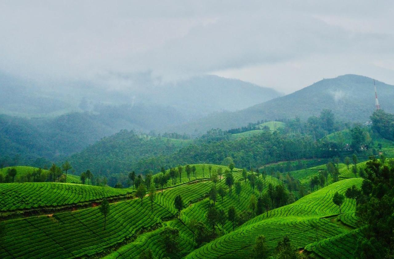 Lockhart Bungalow Munnar - A Cgh Earth Saha Experience Esterno foto