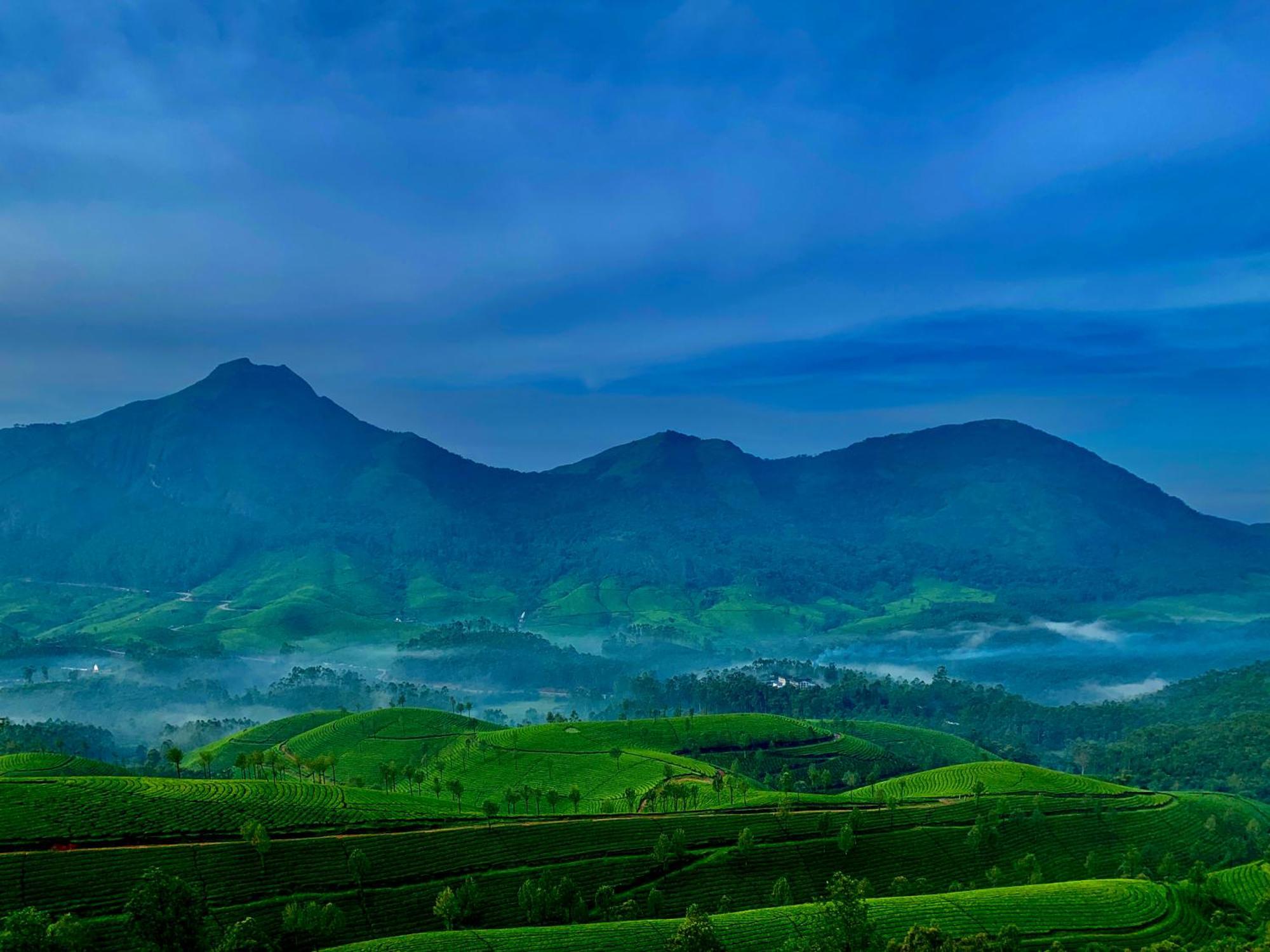 Lockhart Bungalow Munnar - A Cgh Earth Saha Experience Esterno foto