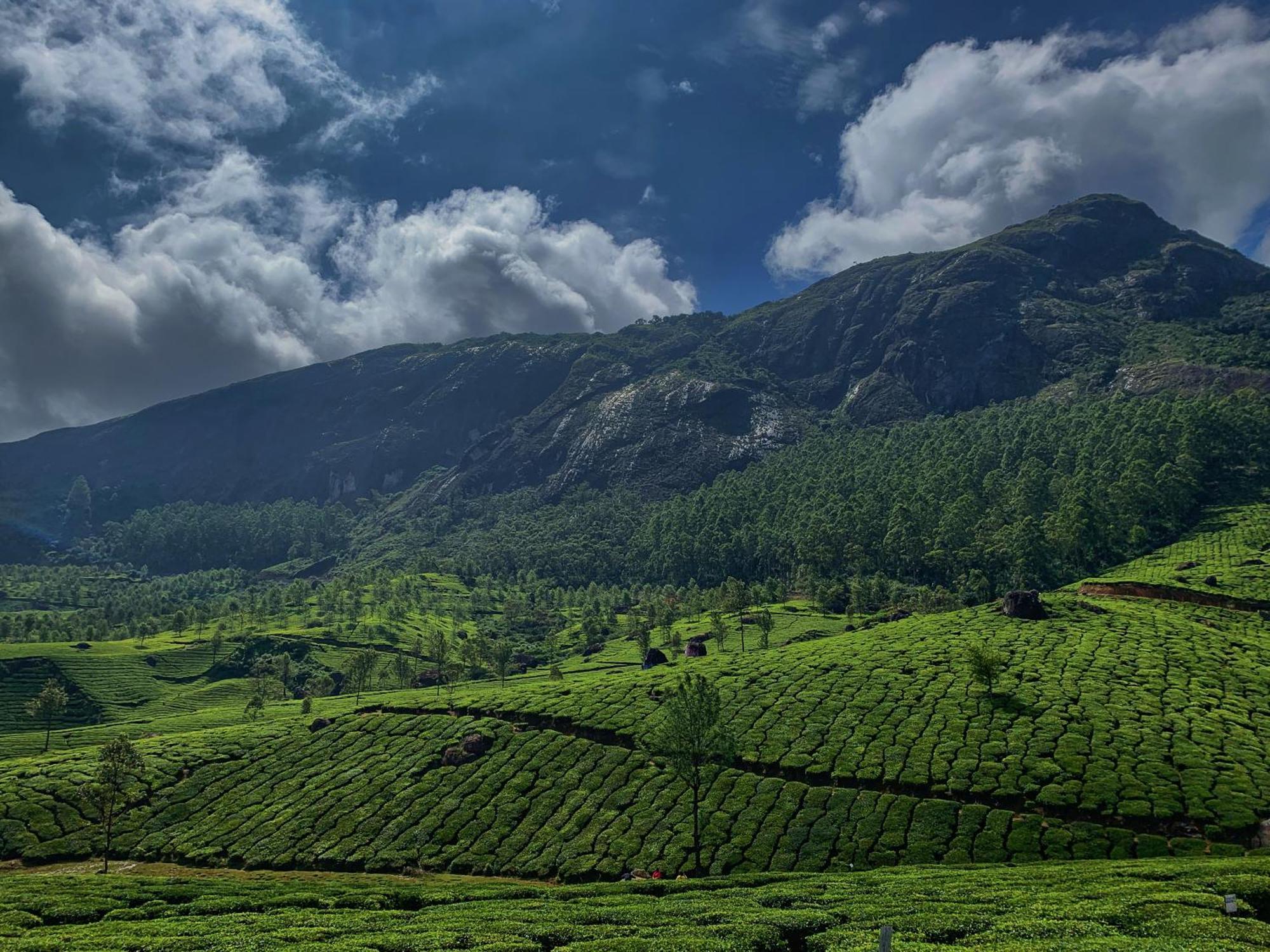 Lockhart Bungalow Munnar - A Cgh Earth Saha Experience Esterno foto