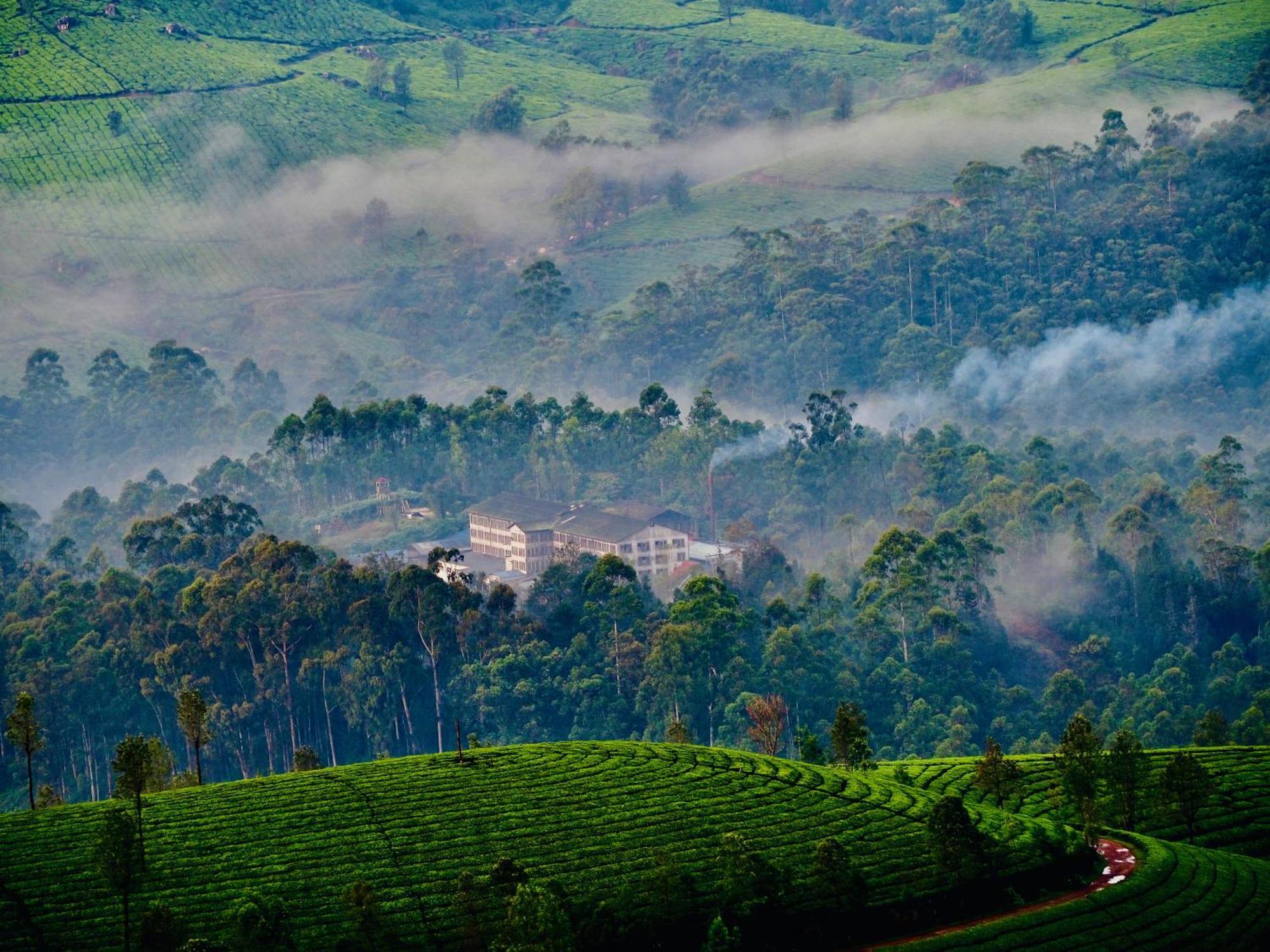 Lockhart Bungalow Munnar - A Cgh Earth Saha Experience Esterno foto