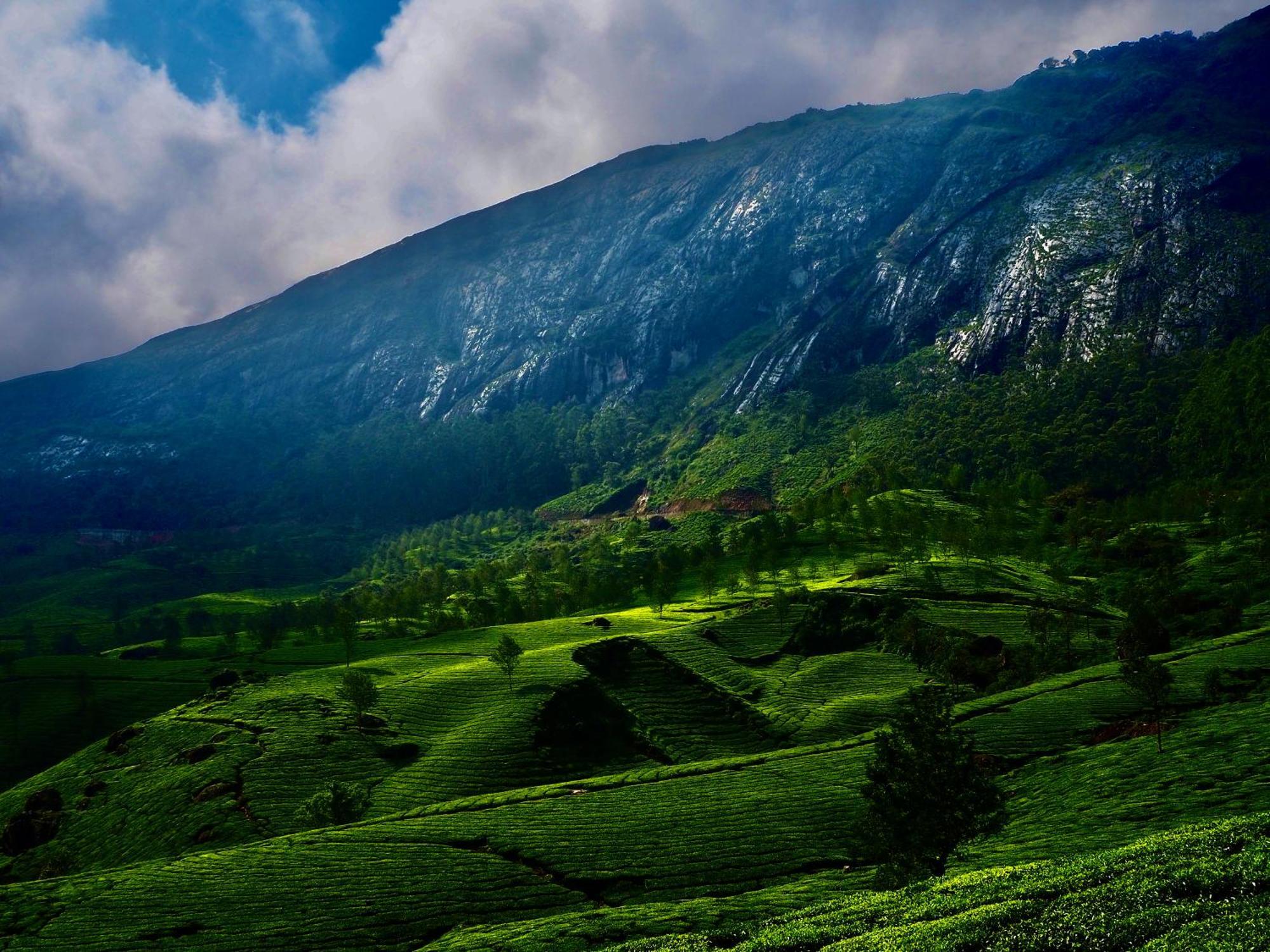 Lockhart Bungalow Munnar - A Cgh Earth Saha Experience Esterno foto
